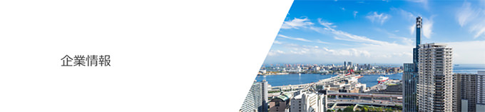 株式会社 システムリサーチ 企業情報について